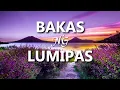 Bakas Ng Lumipas(Lyrics) | Eddie Peregrina | MARVIN AGNE (Cover)