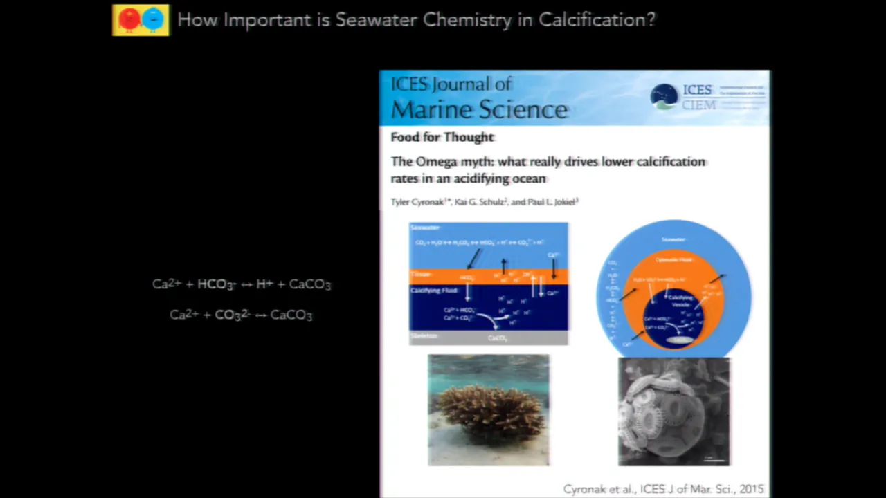 Calcification Plenary Session introduction and overview-Andrea Fassbender MBARI