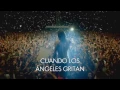 Download Lagu Do or Die- 30 Seconds to Mars Subtitulado al Español