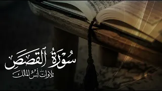 تلاوة سورة القصص للقارئ أنس المالك من ليالي رمضان ١٤٤٤ 