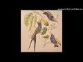 Susumu Yokota - Uchu Tanjyo