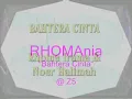 RHOMA irama - Bahtera cinta