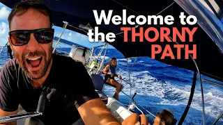 Thorny Path Begins: Sailing to Calabash Bay (Ep.155)   |  ⛵ The Foster Journey