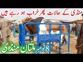 Download Lagu Today Fresh Multan Cow Mandi Latest Update Video | Cholistani Sahiwal Bachre | Multan Janwar Mandi🔥