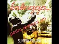 Download Lagu KALINGGA -SUMPAH PALAPA