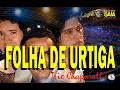 Download Lagu FOLHA DE URTIGA = TRIO CHAPAHALL'S - KARAOKÊ