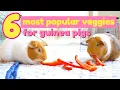 6 Most Popular Vegetables for Guinea Pigs GuineaDad