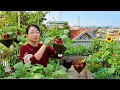 A Rooftop Garden With Chickens Fish Birds Nature in the City