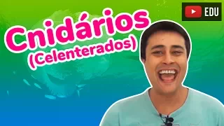 Cnidários (Celenterados) - Reino Animalia (Zoologia) - Prof. Paulo Jubilut