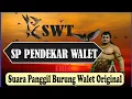Lagu Suara Panggil Burung walet (Pendekar Walet) Free swiftlet Calling Voice