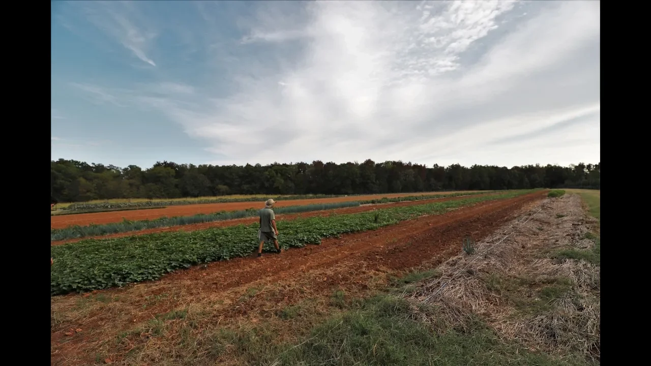 No-Till on 12 Acres?!?