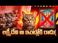 Lagu లక్ష్మీదేవి మీ ఇంట్లోకి రాకపోవడానికి ఆ ఒక్క తప్పే కారణం! పిల్లి చెప్పిన షాకింగ్ నిజం.