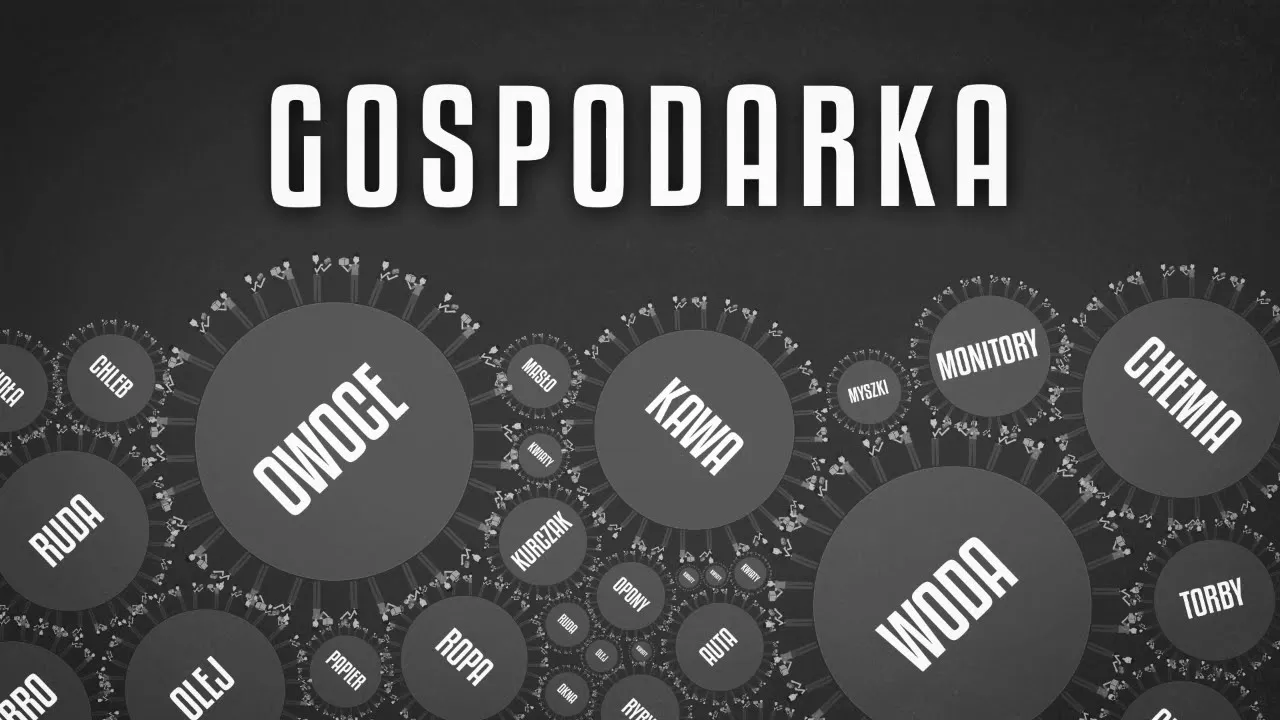 Jak działa gospodarka? - film edukacyjny | Explainer TOIN.PL