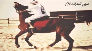 شيلة طرب وقفت لعيون القبيلة ـ شبل الدواسر 