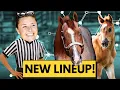 My Predictions For Next Year s Foals Who Belongs To Who