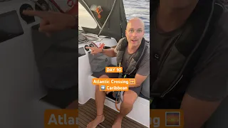 Day 10 on the Atlantic Ocean ➡️ Caribbean 🌅 #sailing  #atlanticcrossing #sailboat