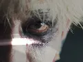 t-Ace"why so serious？"(OfficialVideo) - t-Ace