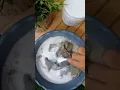 Download Lagu Sodium Percarbonate (oxy powder ) menghilangkan noda noda yang membandel.