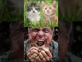 Ik zag Ray Mears pissebedden eten