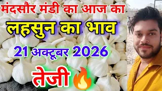 लहसुन के भाव में जोरदार तेजी🔥 | aaj ka lahsun ka bhav |mandsaur mandi ka lahsun ka bhav