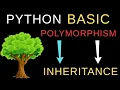 Lecture 64 Polymorphism with Inheritance in Python Python Beginner Course