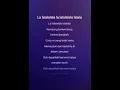 Download Lagu CINTA RAHASIA KARAOKE NADA RENDAH VERSI NURDIN