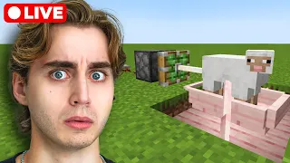 HOW MANY MINECRAFT CRIMES CAN I COMMIT?🔴