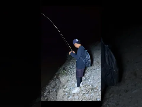 Mancing malam disungai yang banyak predator nya #KOOKIKO