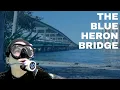 Diving the Blue Heron Bridge - A scuba diving road trip with Katie The Drysuit Lady