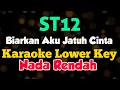 Download Lagu ST12 - Biarkan Aku Jatuh Cinta Karaoke Lower Key Nada Rendah
