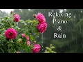 Download Lagu Rain Sounds \u0026 Relaxing Music | Piano Music, Sleep, Study, Yoga, Stress Relief, Meditation