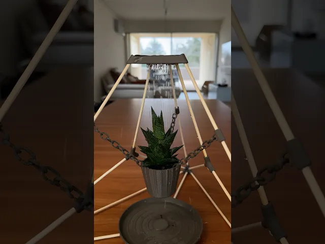 EQUILIBRIUM | ARTISTIC SUCCULENT POT video thumbnail