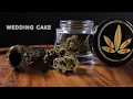 Wedding Cake Strain Review Nightly Bud
