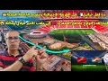 Download Lagu ردة فعل جزائرى  على الطريقة الإحترافية وتنضيم الجامعة الملكية👑  للولوج جماهير المغرب إلي ملعب الرباط