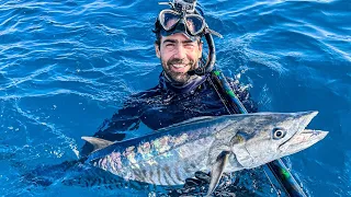 SPEARFISHING OUR FOOD On The GREAT BARRIER REEF