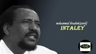 Mohaammad Ibraahim Intaly መሃመድ ኢብራሂም Ethiopian Oromo Music 
