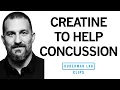 How Creatine Can Help with Concussion Traumatic Brain Injury Dr Andrew Huberman