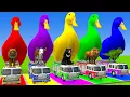 Download Lagu Long Slide Game With Cow Elephant Gorilla Hippopotamus Tiger 3d Animal Game Funny 3d Animals