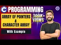 Array of Pointers Character Array in C Programming with examples C language in Hindi