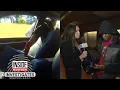 How Inside Edition Helped Catch These Smash and Grab Thieves