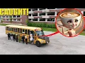Lagu I CAUGHT BALLERINA CAPPUCCINA ON A SCHOOL BUS IN REAL LIFE! (ITALIAN BRAIN ROT)