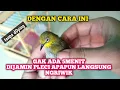 Download Lagu CARA GAMPANG BIKIN PLECI NGRIWIK TANPA D0PING, TANPA OBAT2AN‼️gak ada 5menit pasti ngriwik