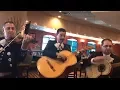 Trio Jalisciense - Live at Los Cuates Restaurant Albuquerque NM