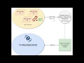 IoT 2020 - Sending data to ThingsBoard via MQTT-SN protocol using RIOT-OS