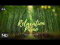 FLUTE BAMBOO INSTRUMENTAL MUSIC FOR RELAXATION, HEALING, STUDY, SLEEP AND STRESS RELIEF (HD VIDEO)