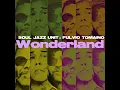 I Wish (feat. Fulvio Tomaino)