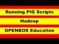 Running PIG Scripts - Hadoop
