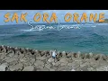 Download Lagu Safira Inema - Sak Ora Orane - Reggae Santuy (Official Music Video)