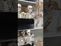Download Lagu skellies