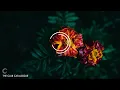 BLOND:ISH - Call My Name (Extended Mix) FFRR